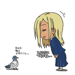ハトとライラさん